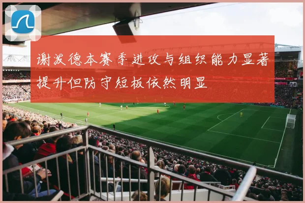 谢泼德本赛季进攻与组织能力显著提升但防守短板依然明显